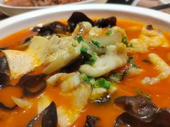 公举番茄鱼-鱼你在一起(海淀航天桥店)