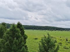 -塞罕坝国家级自然保护区