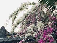 -深圳国际园林花卉博览园