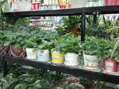 -大润发(东关世茂店)