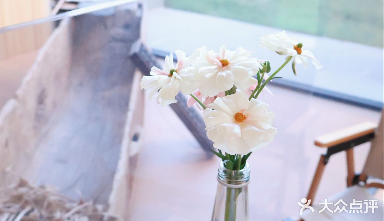 一秒梦回洱海|湖畔别墅区里咖啡店