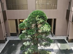 -外滩·云南人家(昆明旗舰店)