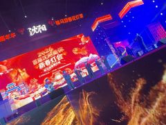 -沈阳奥体冰雪嘉年华