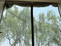 -贡湖湾湿地公园