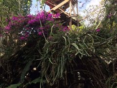 -疯狂屋