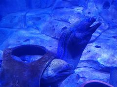 -波塞冬旅游度假区