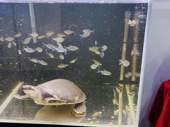 -太平洋海底世界