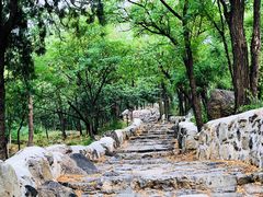 -阳台山自然风景区