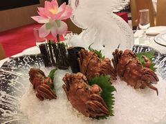 -骏莱海鲜鱼港(五角场店)