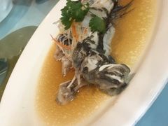 -席家花园(巨鹿花园店)