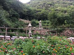 -北京山里寒舍度假酒店