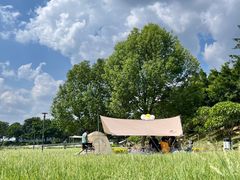 -风云岭森林公园