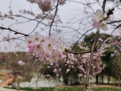 -凤凰沟景区