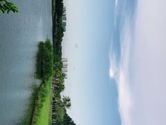 -万绿园