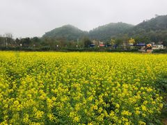 -红山村
