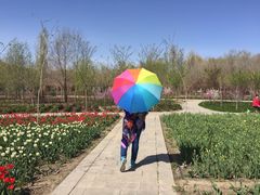 -杜氏旅游度假区