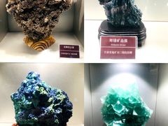 -甘肃地质博物馆