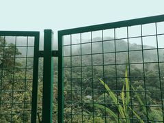 -火炉山森林公园