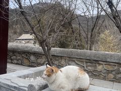 -潭柘寺景区