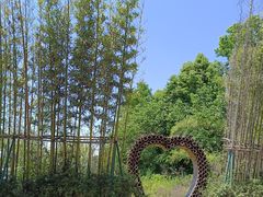 -桤木河湿地公园