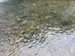 -丽江玉水寨