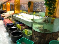 -石砰渔港·海鲜楼