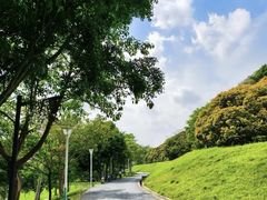 -风云岭森林公园