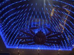 -蟹之国·精品蟹料理(极地店)