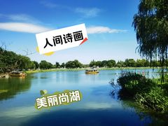 -尚湖风景区