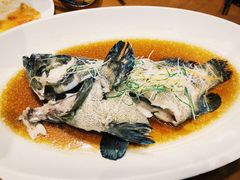 -頂好酒家·经典粤菜(海信广场店)