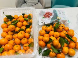 -芭贝诺产后修复(石芽岭花城店)