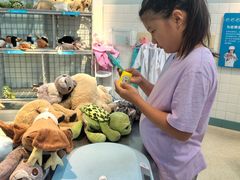 -呼和浩特市老牛儿童探索馆