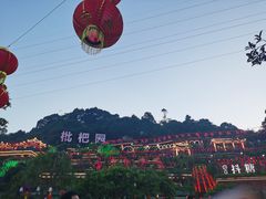 -枇杷园食为鲜火锅(南山店)