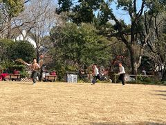 -上海醉白池公园