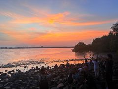 -宝安西湾红树林湿地公园