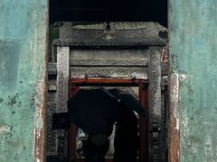 -大学习巷清真寺