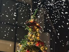 -满天星幼儿园(北京太阳宫园)