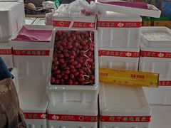 -东方鼎信农副产品交易中心