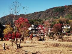 -塔川景区