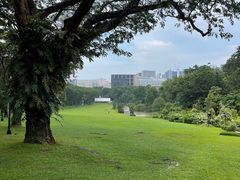 -新加坡总统府