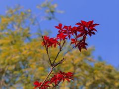 -海兰云天度假区温泉