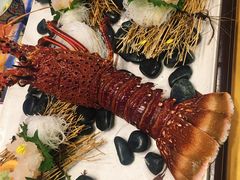 -活伊势龙虾料理 中纳言(千日前味乐馆店)