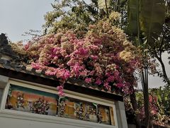 -深圳国际园林花卉博览园