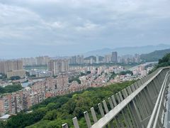 -福道