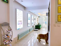 -北京观赏动物医院·24小时大型综合·猫专科·异宠专科