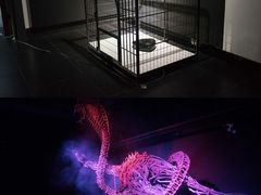-成都许燎源现代设计艺术博物馆