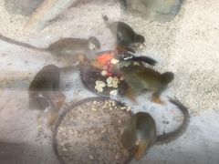 -北戴河集发农业梦想王国