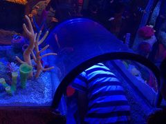 -沈阳海洋探索中心