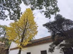 -岳麓山风景名胜区