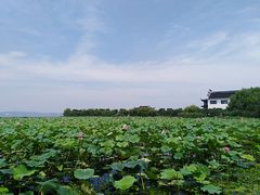 -苏州吴中太湖旅游区